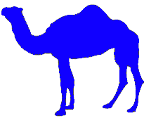 Picture of a camel